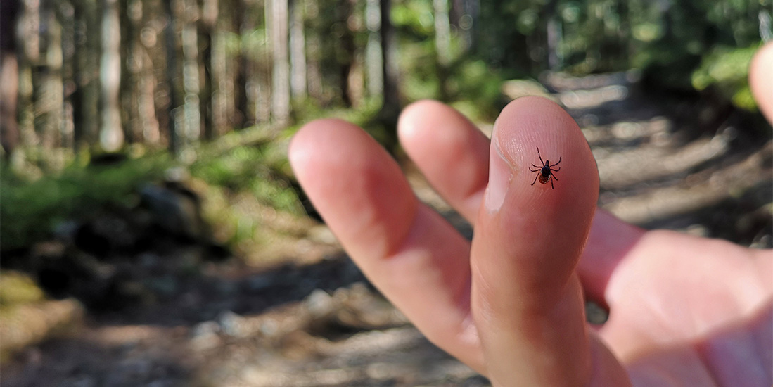 Tips to Prevent Bug Bites While Camping
