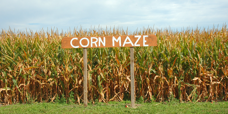 5 Amazing Corn Mazes to Visit This Fall