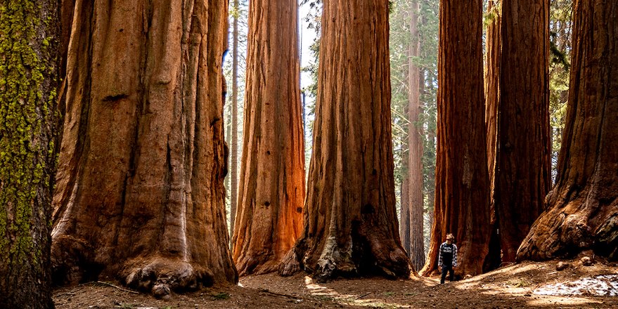 Sequoia National Park