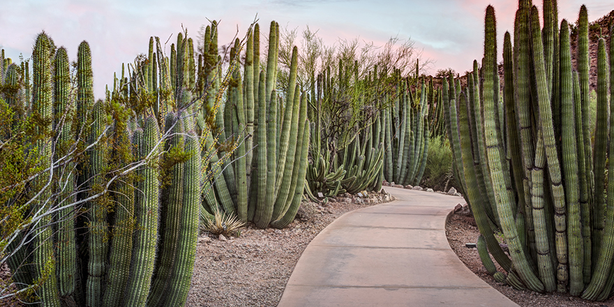 Top Attractions for Arizona Snowbirds | Sun Outdoors