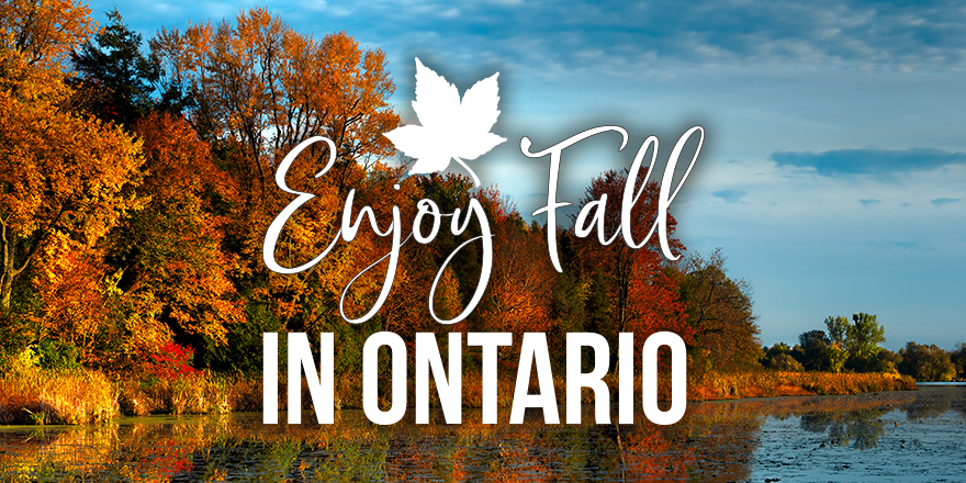 The Best Ontario Fall Festivals and Fairs