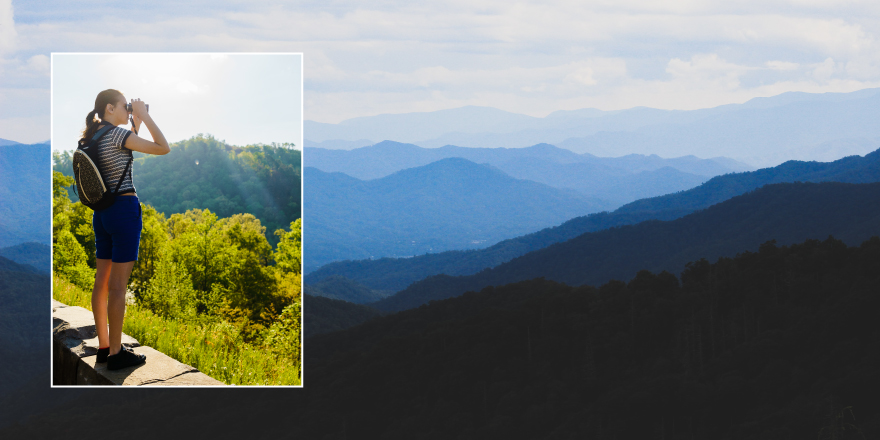 Four Seasons in the Smoky Mountains