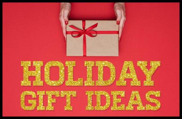 2017 Holiday Gift Guide (under $100)