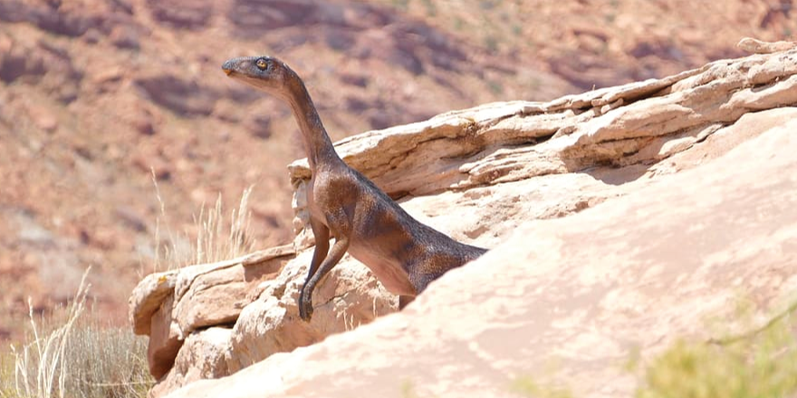 See Utah's Desert Dinosaurs at Moab Giants