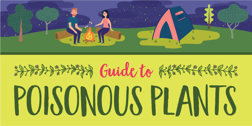 Guide to Poisonous Plants [Infographic]