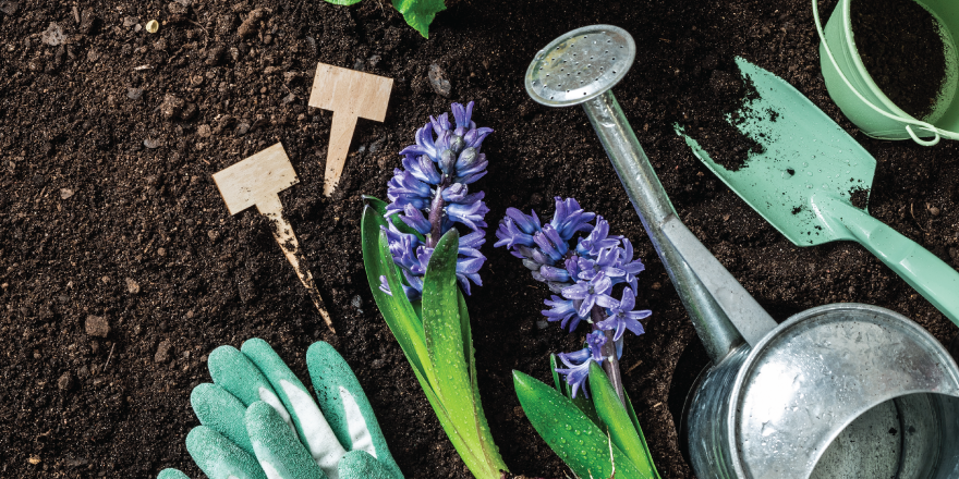 Spring Gardening Tips to Start the Season