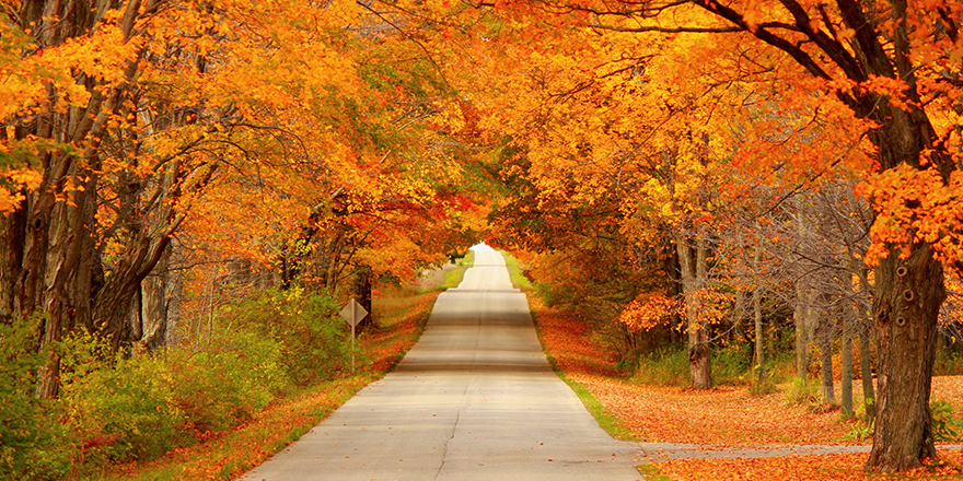 Explore Fall in the Midwest
