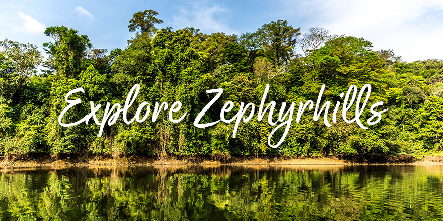 Zephyrhills Attractions in Central Florida