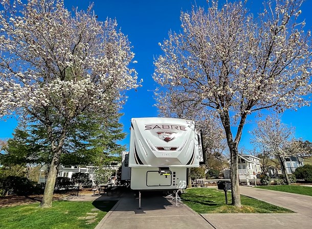 RV between two blossoming trees