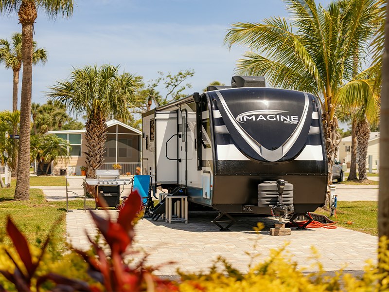 Florida Fall Combo 2025