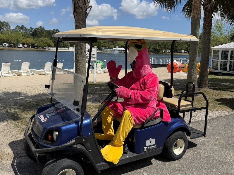 Flamingo Lake RV Resort Deals | 50% Off Golf Cart Rentals