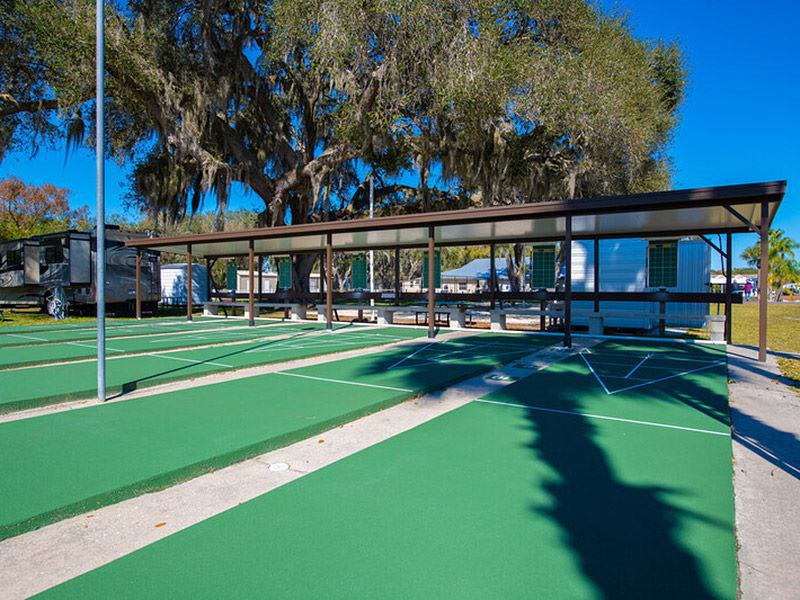 RV Resort in Arcadia, FL - Big Tree