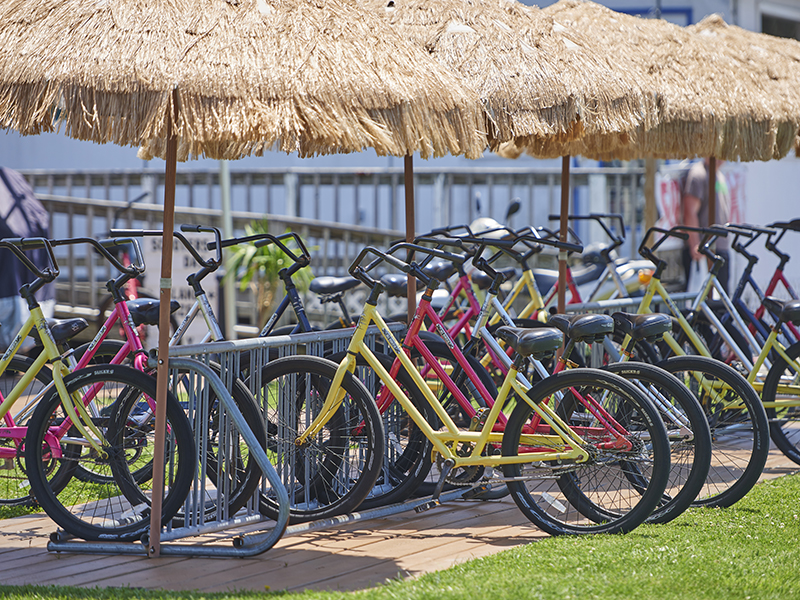 Amenities in Jellystone Park™ Chincoteague Island