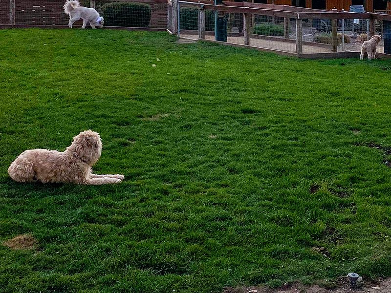 Amenities in Sun Outdoors Arches Gateway, Moab, UT