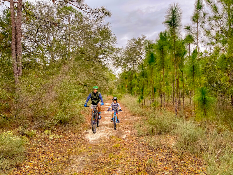 Amenities at Pandion Ridge RV Resort, Orange Beach, AL