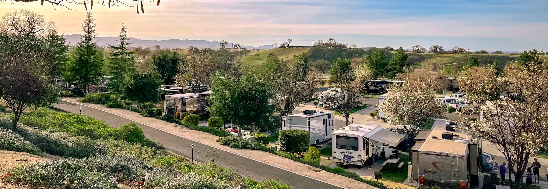 RV Resort in Paso Robles, CA - Sun Outdoors Central Coast Wine Country