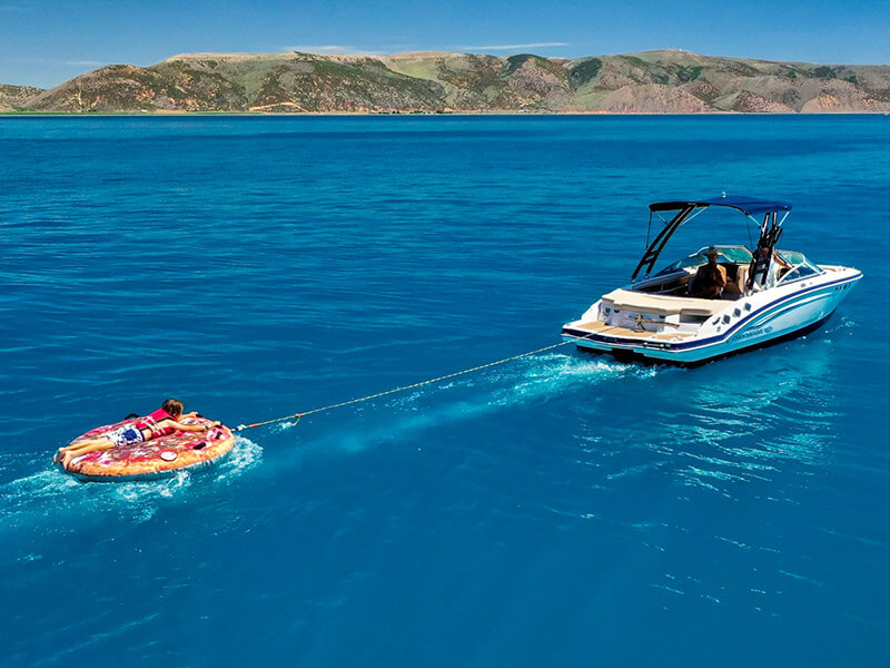 Are Dogs Allowed At Bear Lake Utah