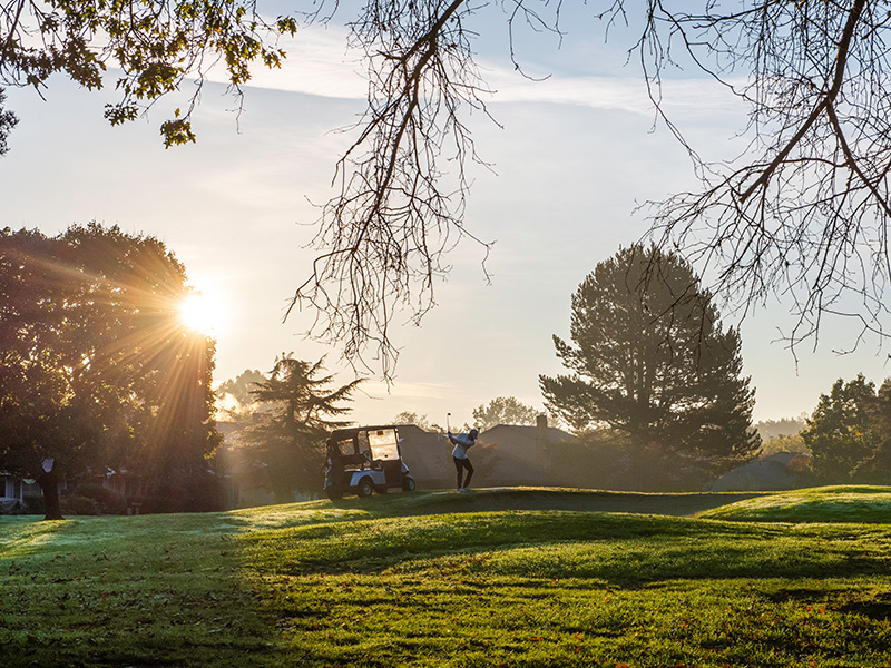 RV Resort in Wilsonville, OR Sun Outdoors Portland South