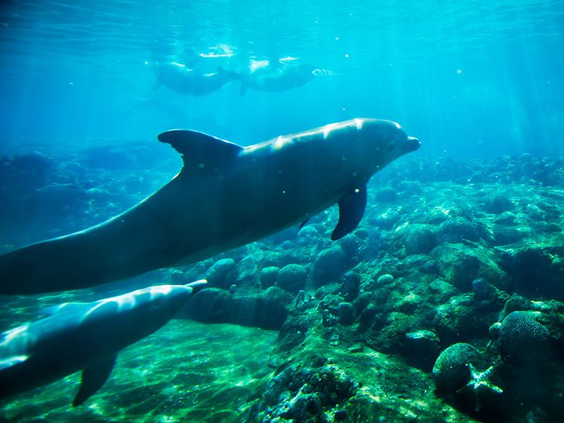 RV Resort in Zephyrhills, FL Waters Edge