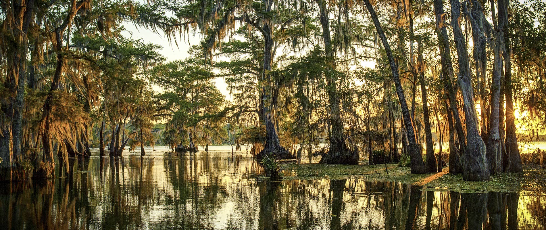 The Best Places To Vacation In Louisiana